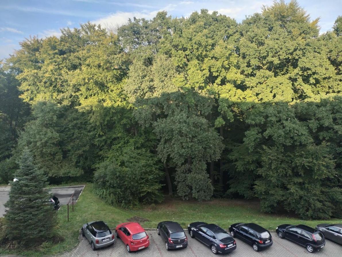 Nowoczesne Mieszkanie 63M2 Jastrzębie Zdrój Esterno foto